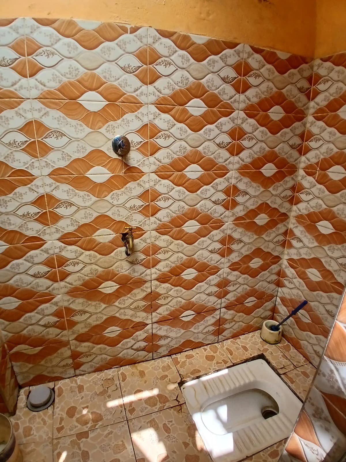 Tiled bathroom with geometric pattern and squat toilet