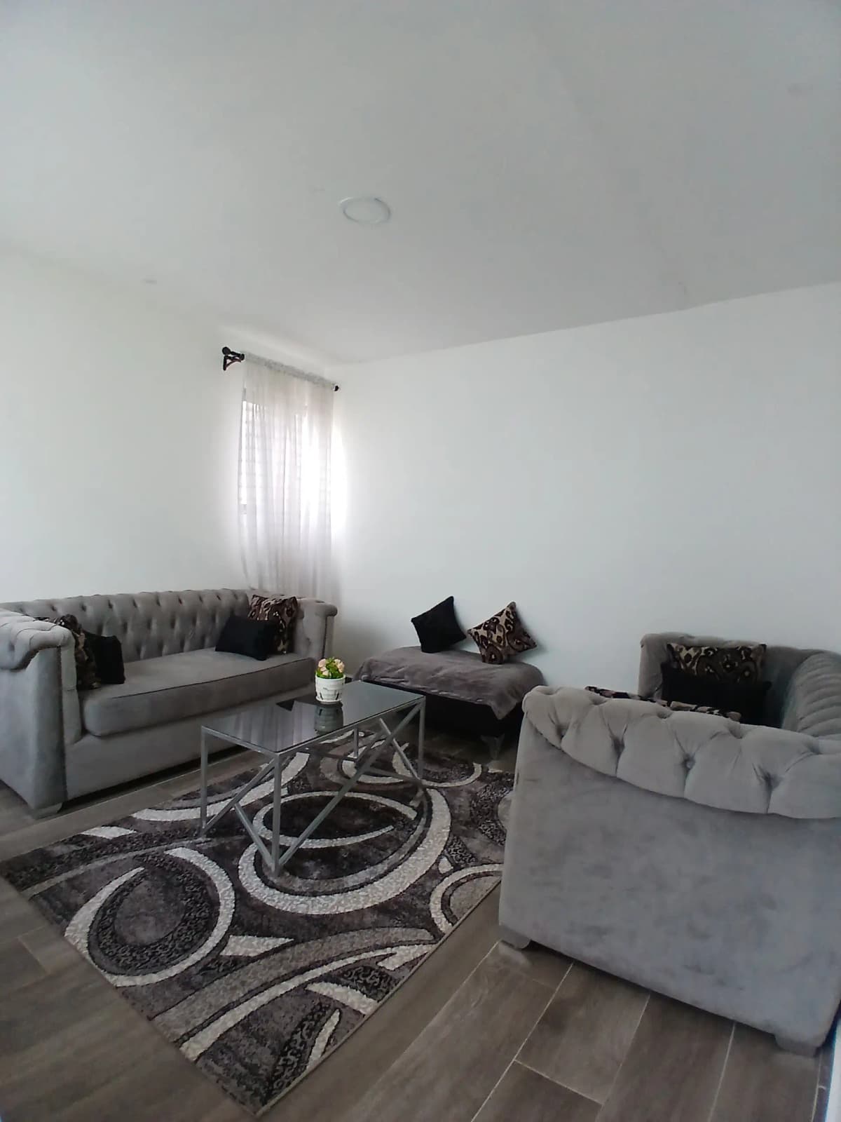Bright living room with gray sofas and geometric area rug