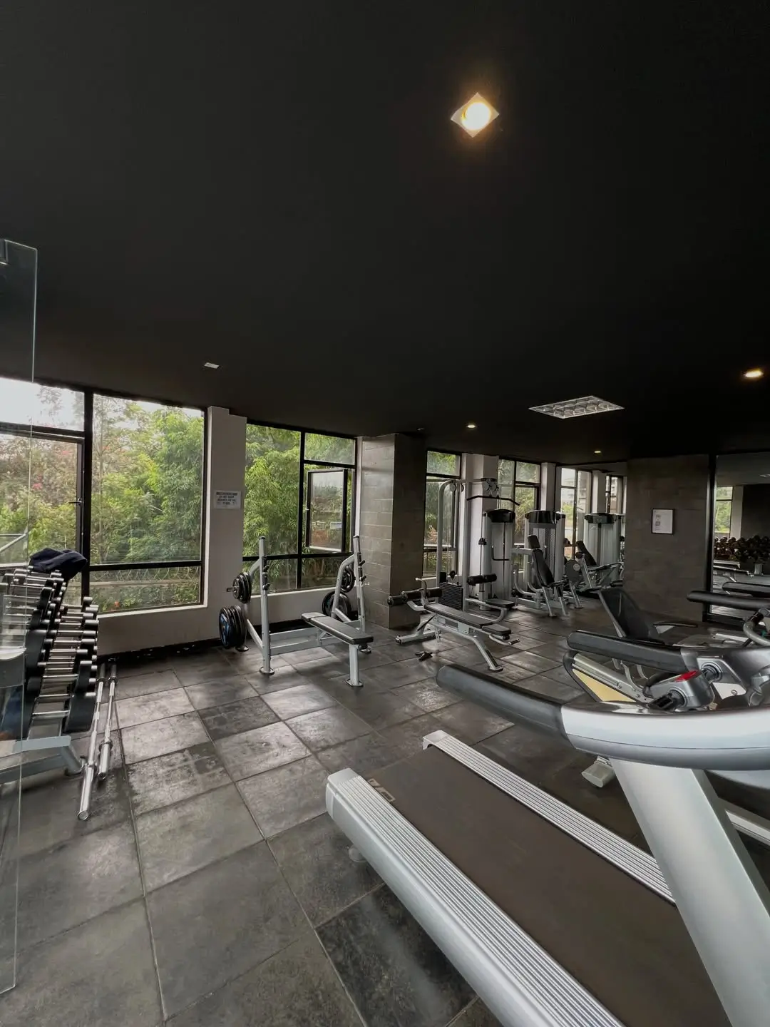 Modern gym with cardio equipment and large windows overlooking greenery