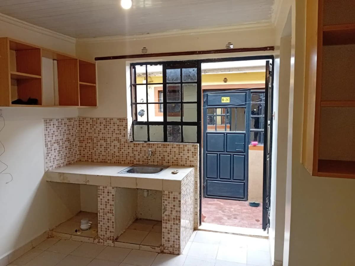 Compact kitchen with tiled backsplash and street-facing entrance door