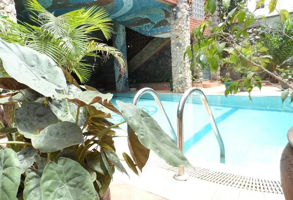 Swimming pool with metal ladder and lush tropical surroundings