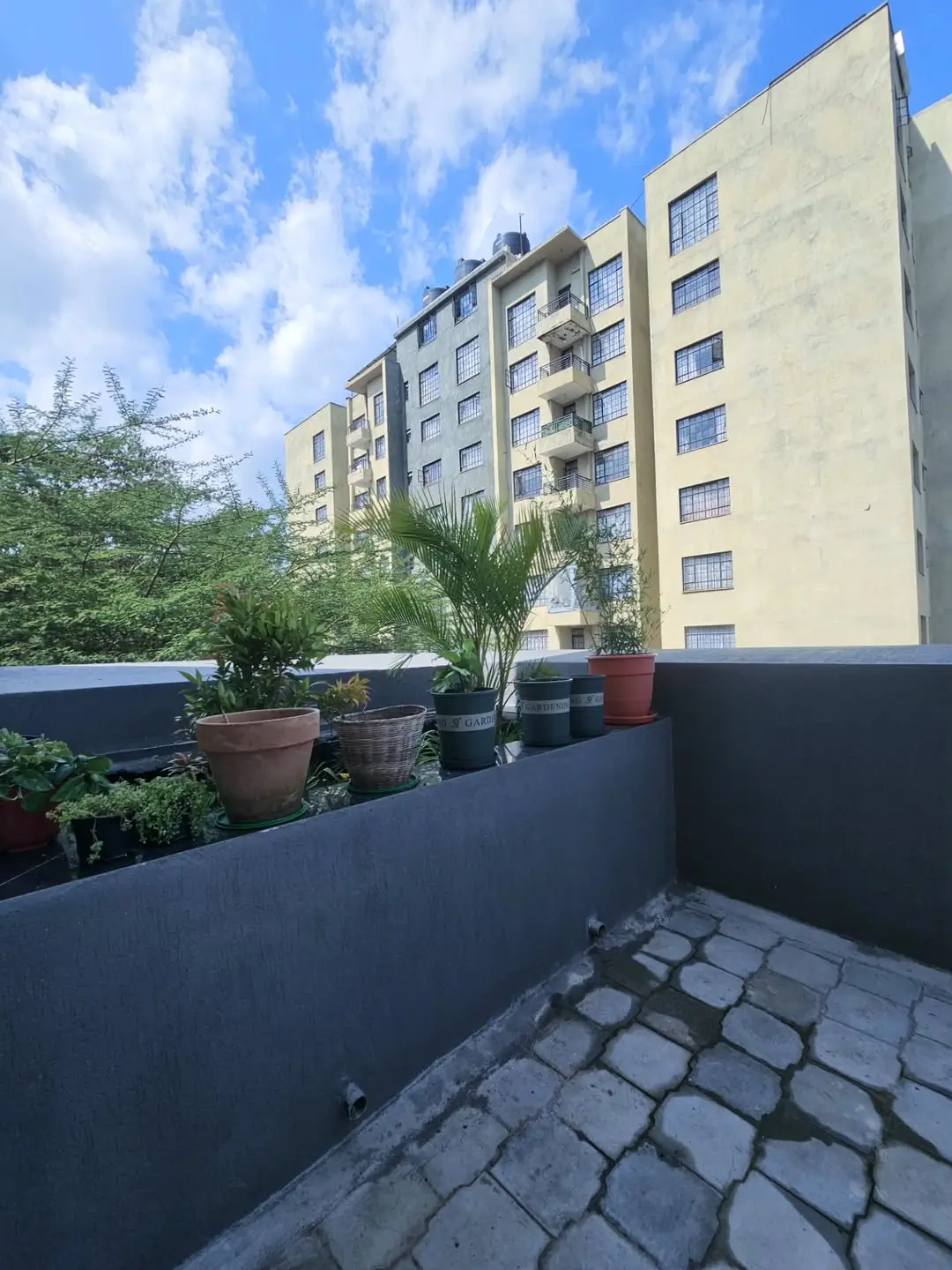 Rooftop balcony with potted plants overlooking apartment building