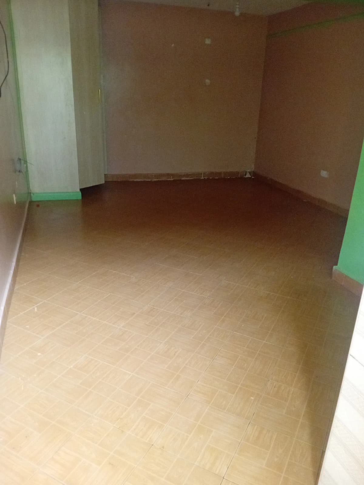 Empty room with wooden flooring and green accent walls