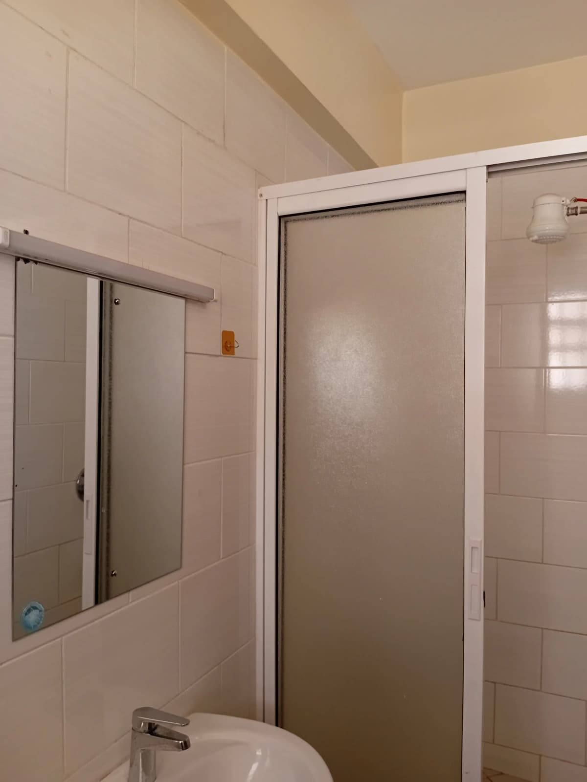 Bathroom with toilet, mirror, and frosted glass shower enclosure
