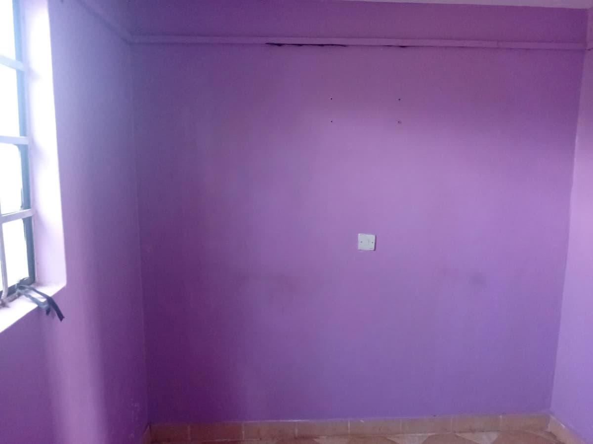 Empty bedroom with purple walls and natural light