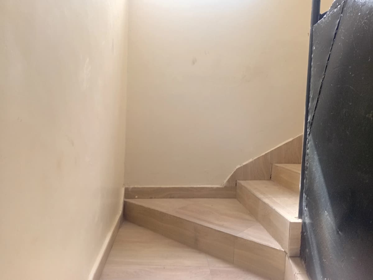 Concrete staircase in minimalist corridor space