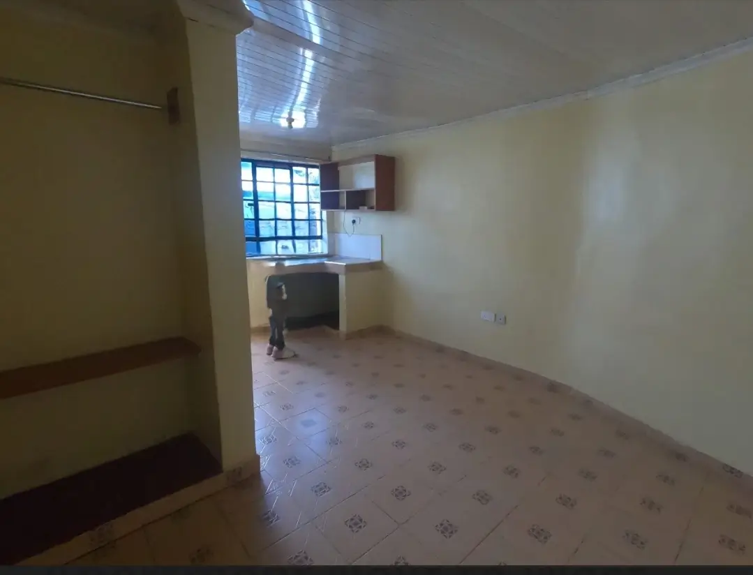 Open-plan living area with kitchenette and window access