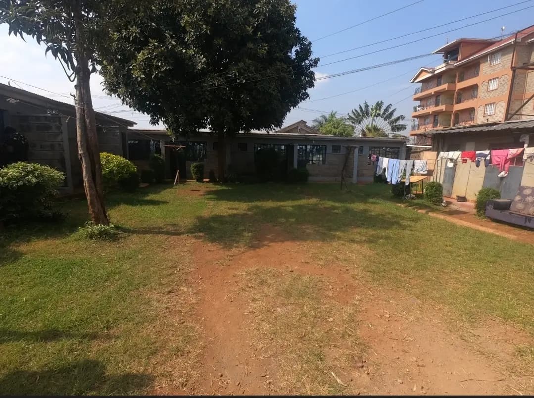 Compound grounds with grass, clothesline, and residential buildings