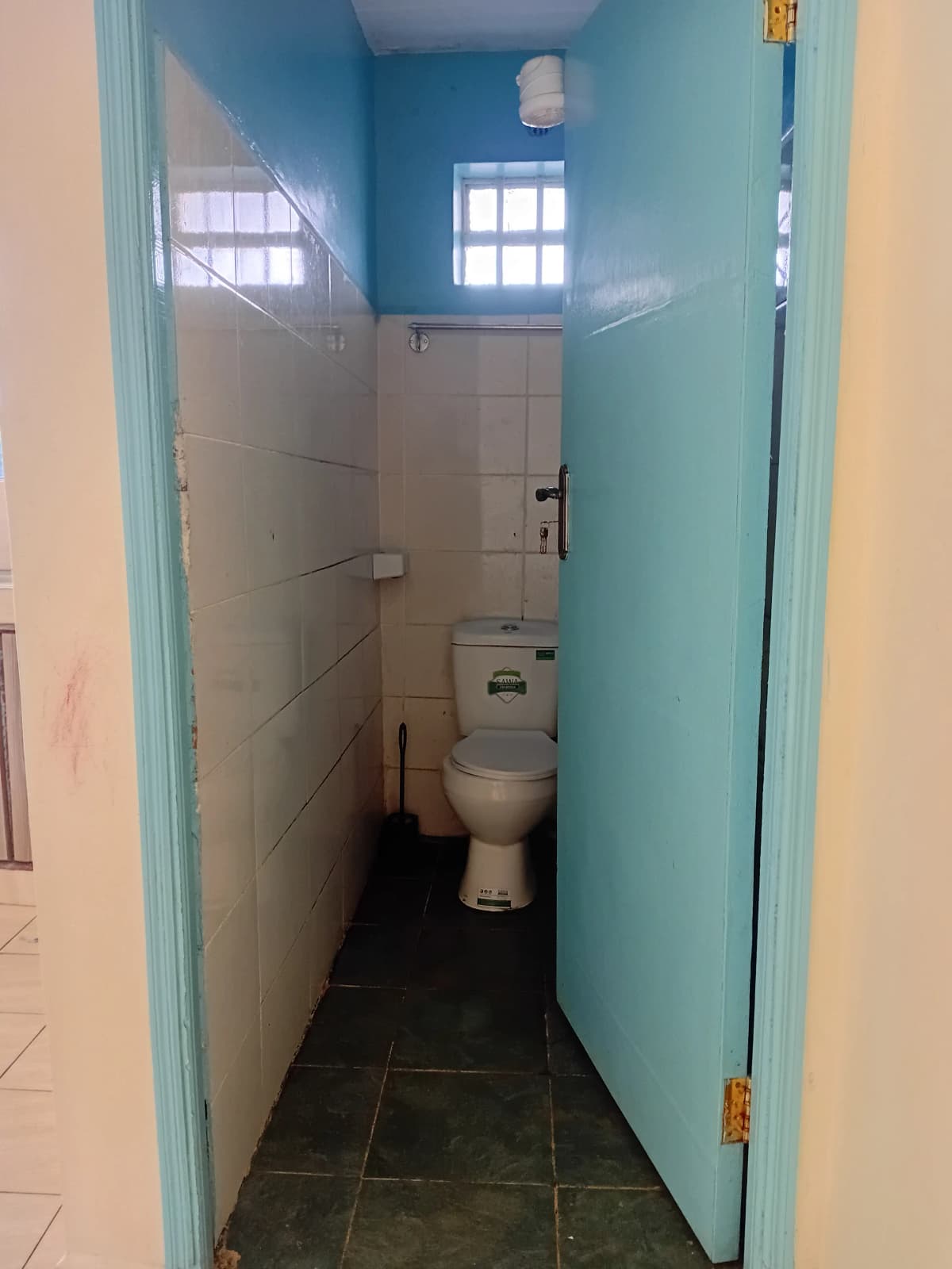 Compact bathroom with toilet, turquoise walls, natural light