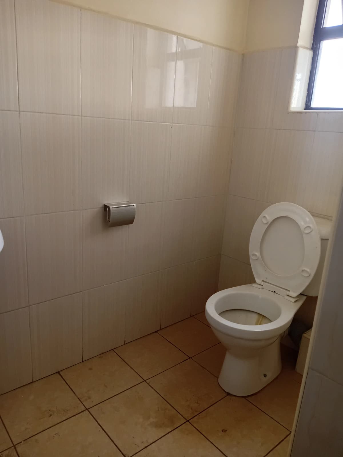 Simple toilet and tiled bathroom with natural light