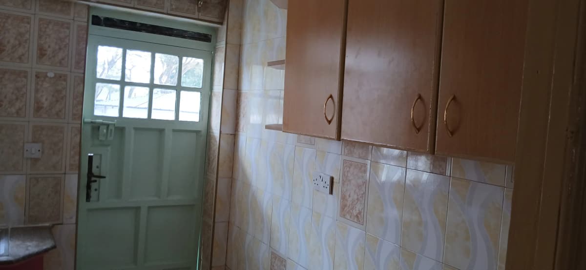 Kitchen with wooden cabinets and tiled backsplash, green door entrance