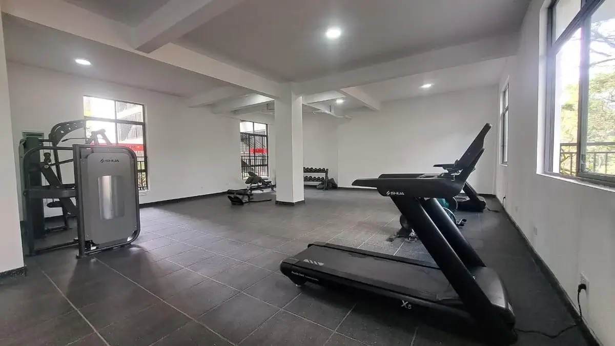Modern gym with treadmills, weight machines, natural light