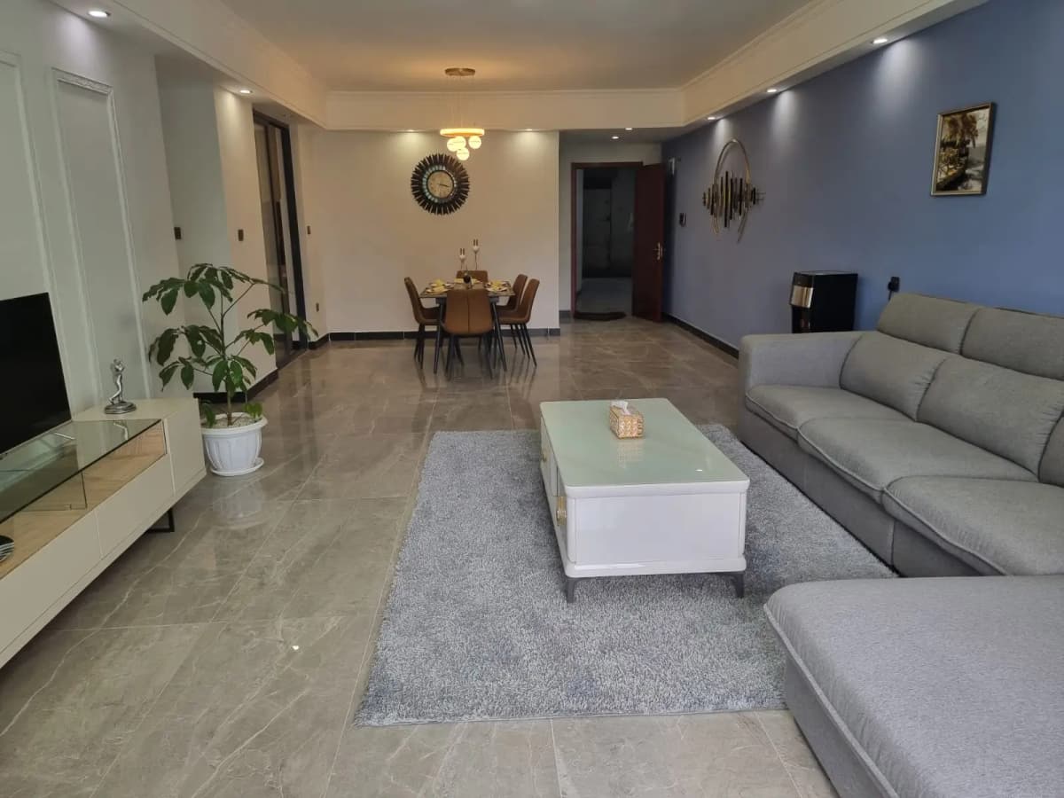 Open-plan living room with gray sofa and dining area visible