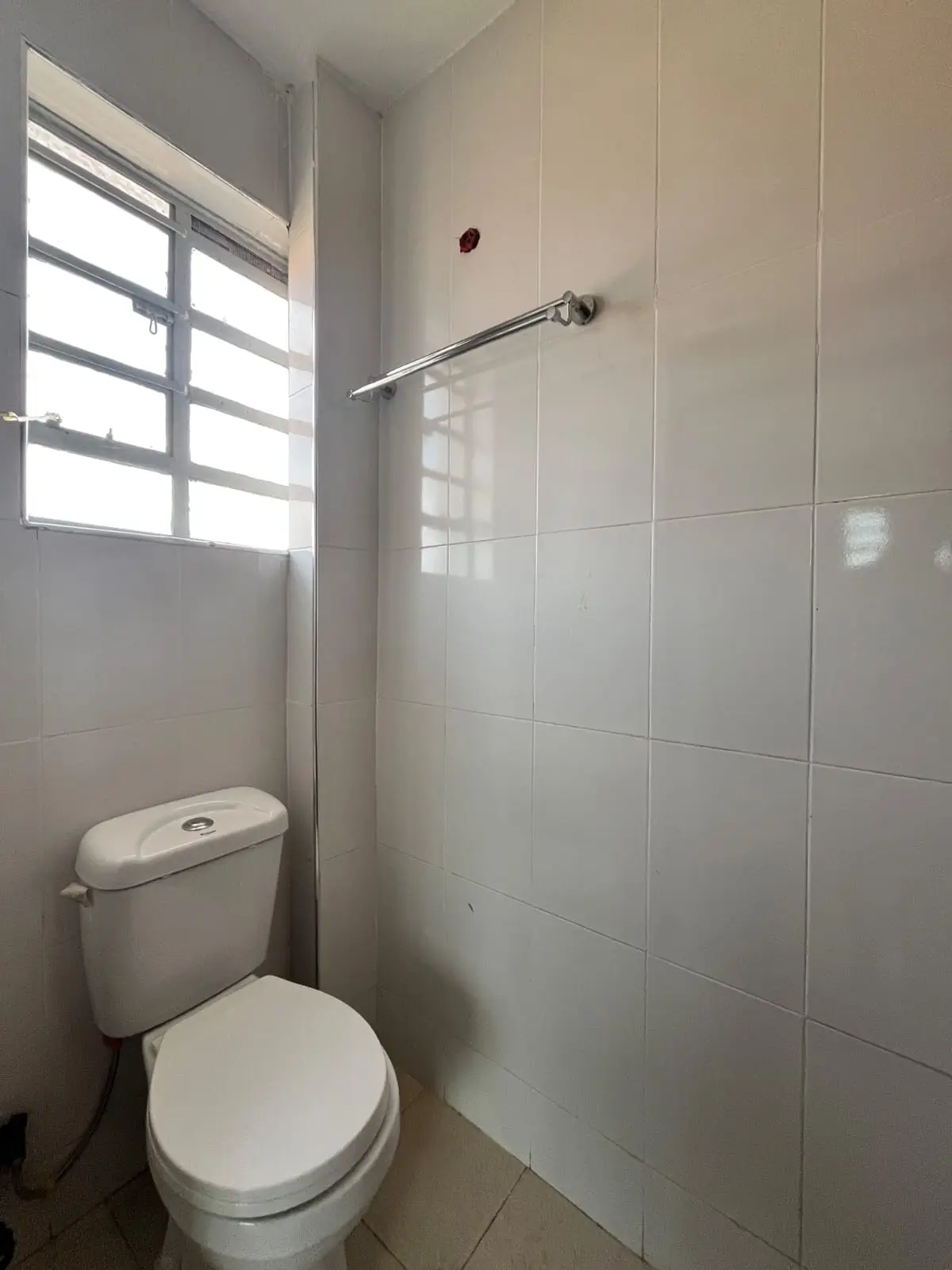 Clean bathroom with toilet, shower enclosure, and natural light