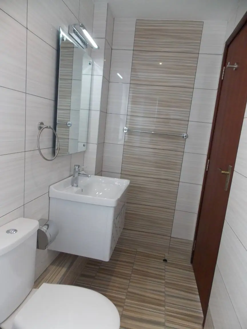 Modern bathroom with white sink, mirror, and wood-look tile flooring