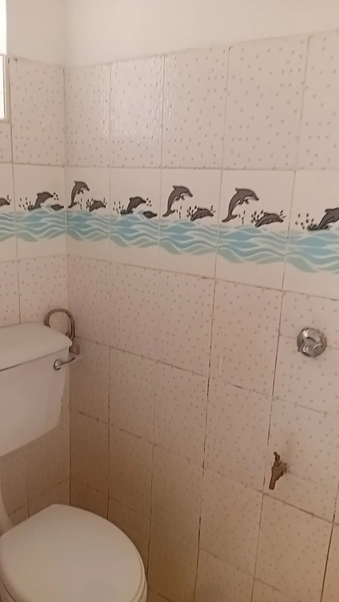 Small bathroom with dolphin-themed tile and toilet.